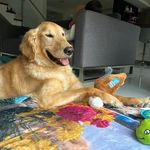 Frederic Nguyen - @frederic.nguyen.589 - Instagram