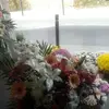 Frederico Ortiz - @frederico.ortiz - TikTok