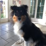 Frédéric Ott - Facebook