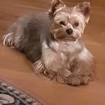 Frederic Otter - @frederic.otter.58 - Instagram