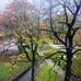 Frederic Chopin Park - Facebook
