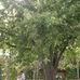 Frederic Coon Lake Park - Facebook