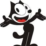 Frédéric Pinto - @felixlechat2956 - Instagram