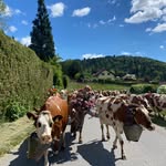 Frédéric Rohrbach - @rohrbachfrederic - Instagram