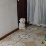 Frederic Rojas Mendez - @fredericrojasmendez - Instagram