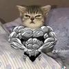 Frederick Salas - @frederick.salas8 - TikTok
