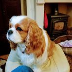 Frederick Sanders - Facebook
