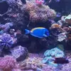 Frederick Thys - @frederick.thys - TikTok