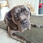 Frederic Trouve - Facebook