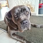 Frederic Trouve - @frederic.trouve.74 - Instagram