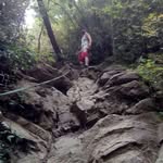 Fred Voss - @vossfrederick - Instagram