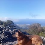 Frederic Wetzel - @frederic_wetzel - Instagram