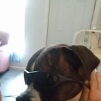 Frederic Wild - Facebook