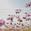 Frederic Wilson - @frederic.wilson1 - TikTok