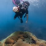 Frederic Wong - @dn1050104583 - Instagram