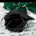 Frederic Wong - Facebook