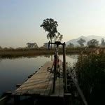 Frederick Wong - @frederick.wong.338 - Instagram