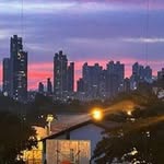 Frederick Wong - @frederickwong739 - Instagram