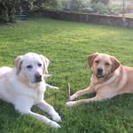Frédéric Wustrack - @fredericwustrack - Instagram