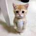 Frederic Say-kham Xiong - Facebook