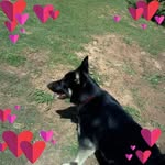 Fredrick Abernathy - @fredrickabernathy - Instagram