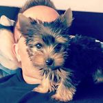 Frederick  Abraham - @frederick_abraham - Instagram