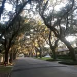 Frederick Aldrich - @sleepyhouse67 - Instagram