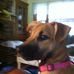 Frederick Aldrich - Facebook