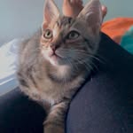 Frederick Almeida - @frederick_cat01 - Instagram