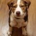 Frederick Ammons - Facebook