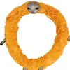 FREDERICK APODO CALDERA - @frederick.caldera - TikTok