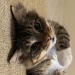 Parchie - @archibaldfrederickhenderson - Instagram