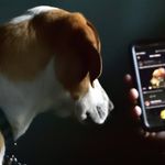 Frederick Pfaffenbach - @frederickpfaffenbach - Instagram