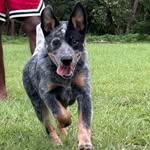 Frederick Baird - @_baird_308 - Instagram