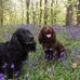 Frederick Baird - Facebook