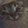 Frederick Barrera - @user560199474 - TikTok