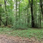 Frederick Bartos - @frede.rickbartos - Instagram