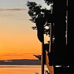 Frederick Beach - @freddy.beach - Instagram