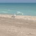 Frederick Douglas Beach - Facebook