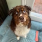 Beckett Fredericks - @beckettfredericks - Instagram