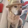 Frederick Baehr - @frederick.baehr - TikTok