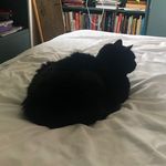 Frederick Charles Benton - @frederickcharlesbenton - Instagram