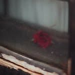 Frederick Bird - @frederickbird - Instagram