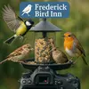 Frederick Birds - @frederickbirds - TikTok
