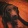 Frederick LeBlanc - @frederickleblanc - TikTok