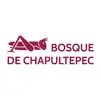 Bosque de Chapultepec - @chapultepeccdmx - TikTok