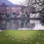 Frederick Blumenthal - @blumenthalfrederick - Instagram