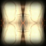 frederick - @frederickbowden - Instagram