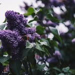 frederick.boyerBayer - @frederick.boyer2572 - Instagram