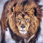 Frederick Brooks - @frederickbrooks25 - Instagram